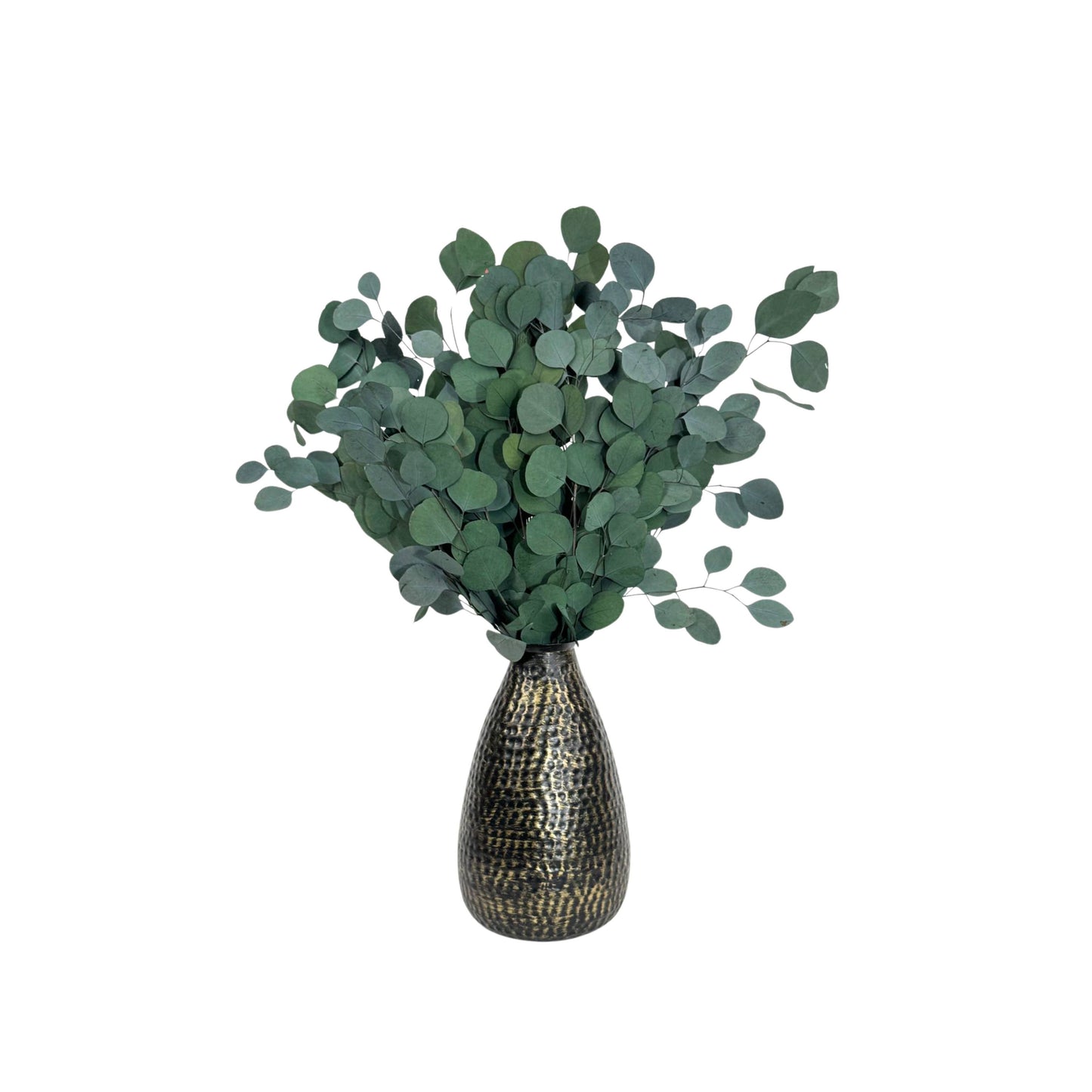 Silver Dollar Eucalyptus Bouquet