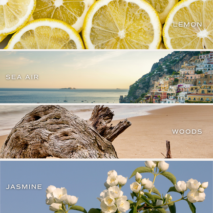 Coastal Lemon 11 oz Soy Candle - Home Decor & Gifts