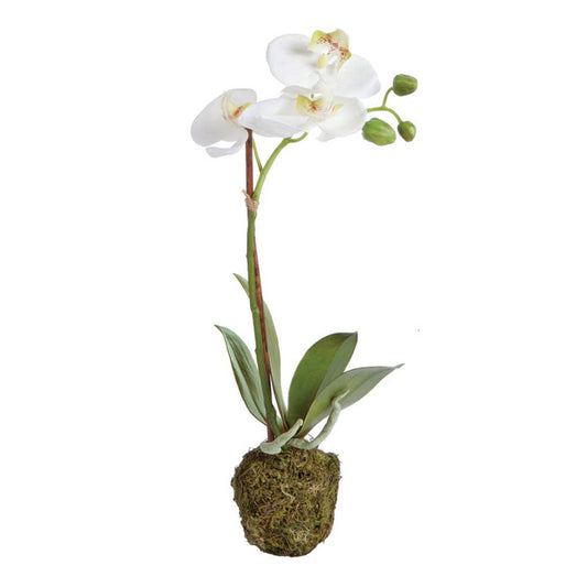 Faux Phalaenopsis Orchid Drop-In 15"