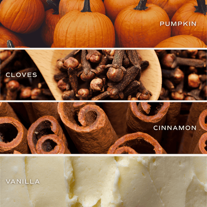 Pumpkin Spice Boxed Soy Candle