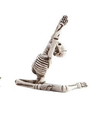Skeleton in Yoga Pose, 5 Styles