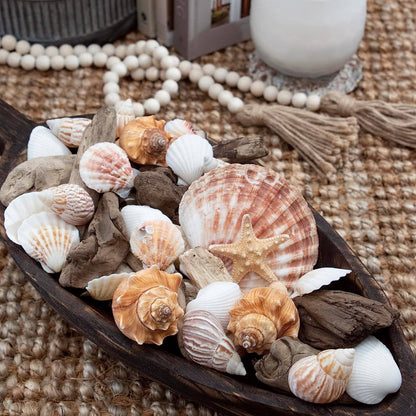 Starfish & Seashells Potpourri