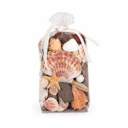 Starfish & Seashells Potpourri