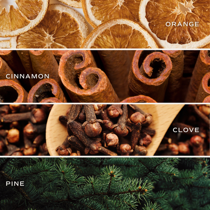 Warm and Cozy Reed Diffuser