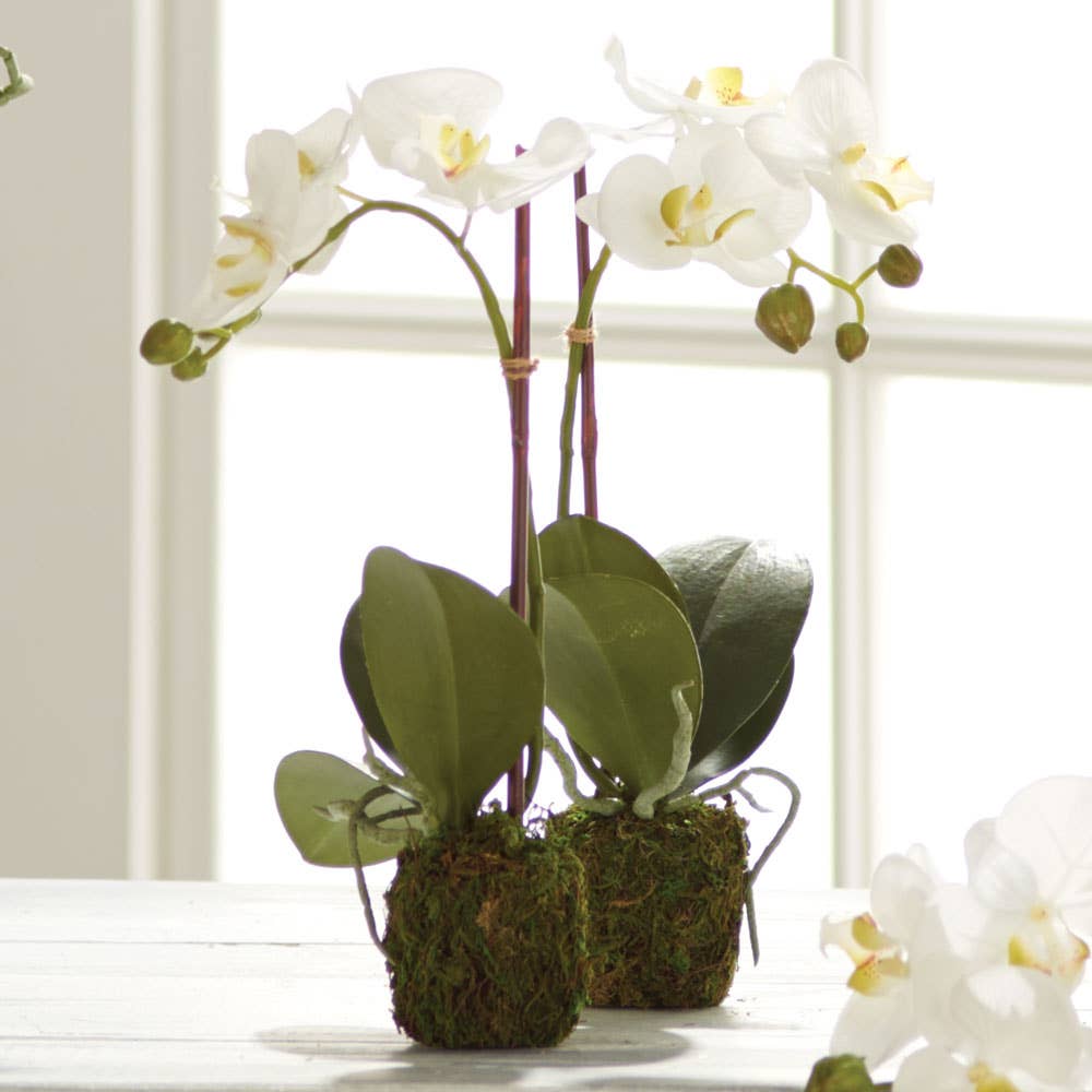 Faux Phalaenopsis Orchid Drop-In 15"