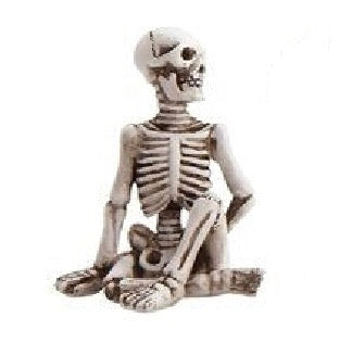 Skeleton in Yoga Pose, 5 Styles
