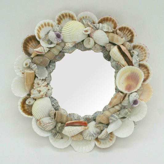 Assorted Shell Mirror