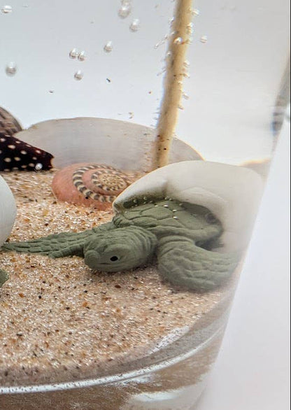 Sea Turtle Gel Candle