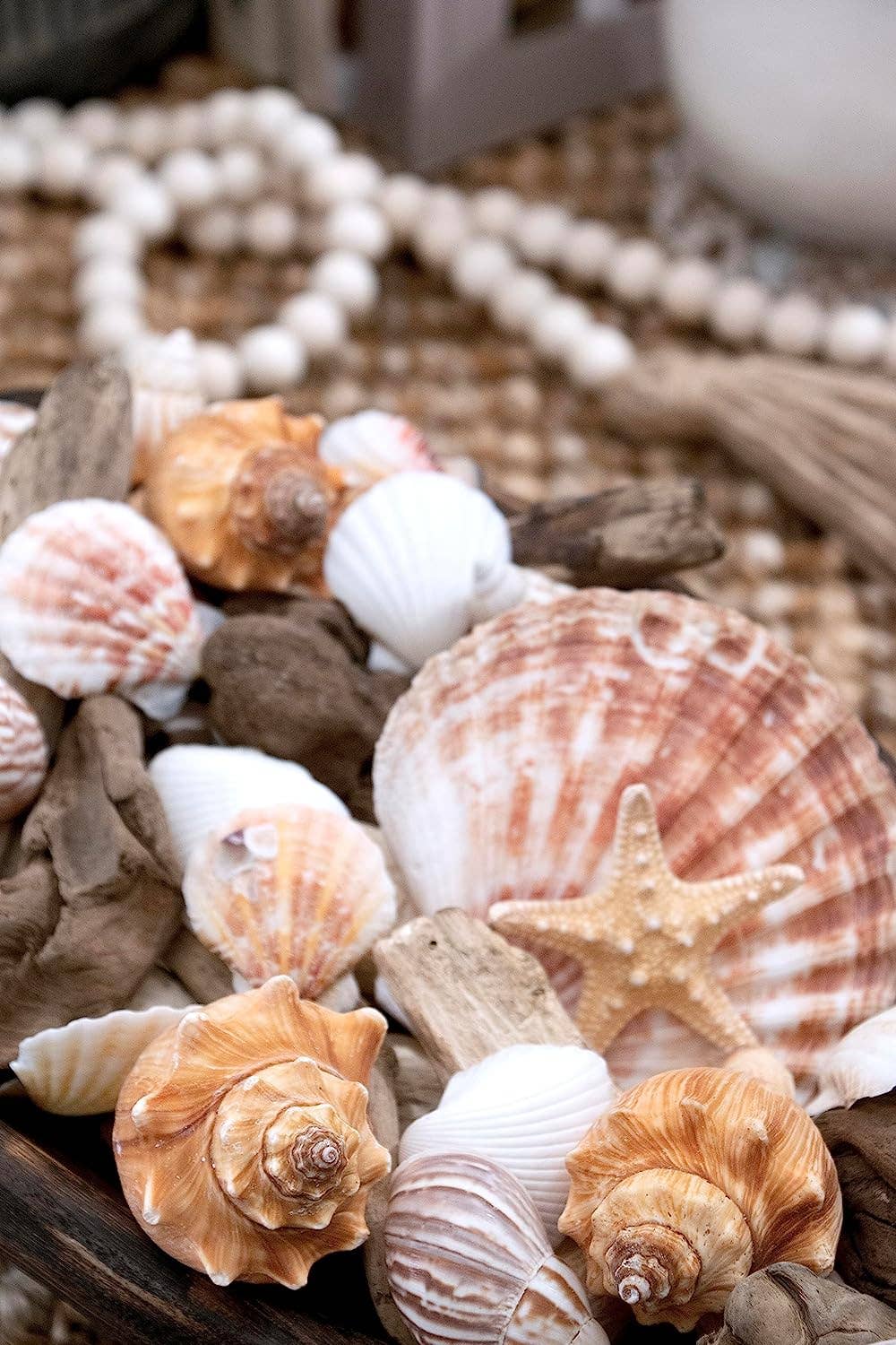 Starfish & Seashells Potpourri