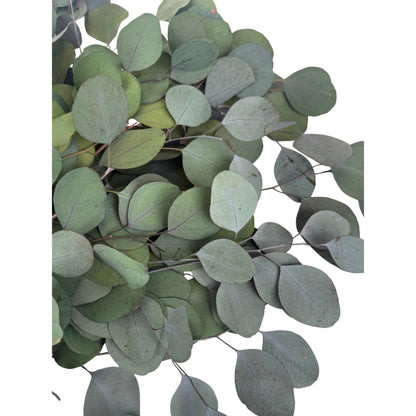 Silver Dollar Eucalyptus Bouquet