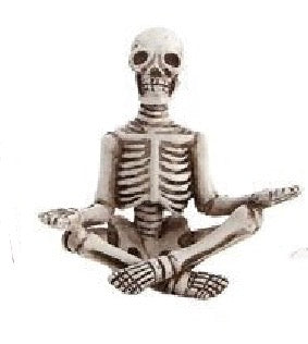 Skeleton in Yoga Pose, 5 Styles