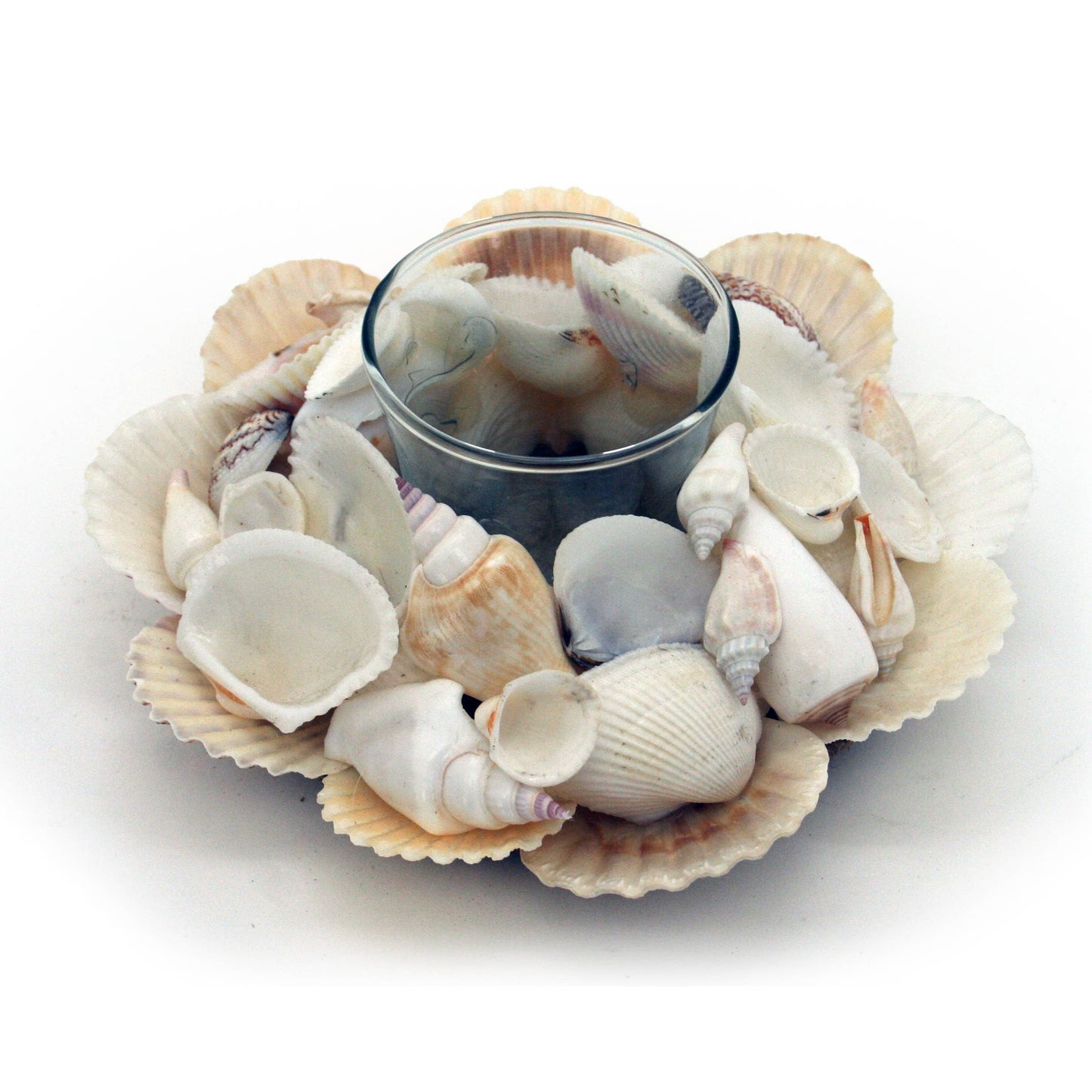 Assorted shell tealight holder