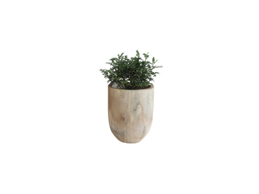 Paulina Wood Pot - Small