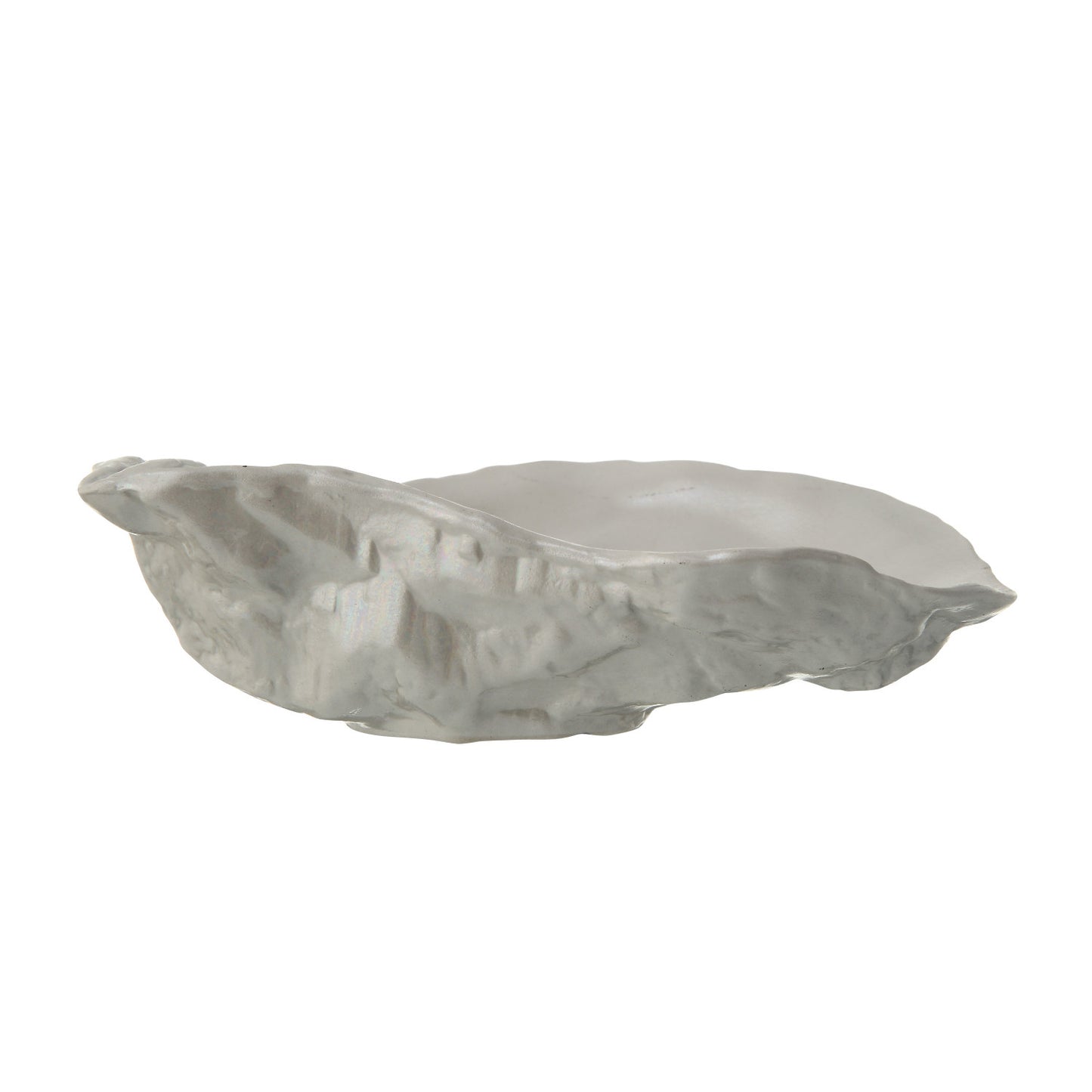 Oyster Shell Shaped Dishes