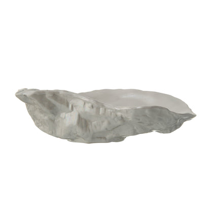Oyster Shell Shaped Dishes