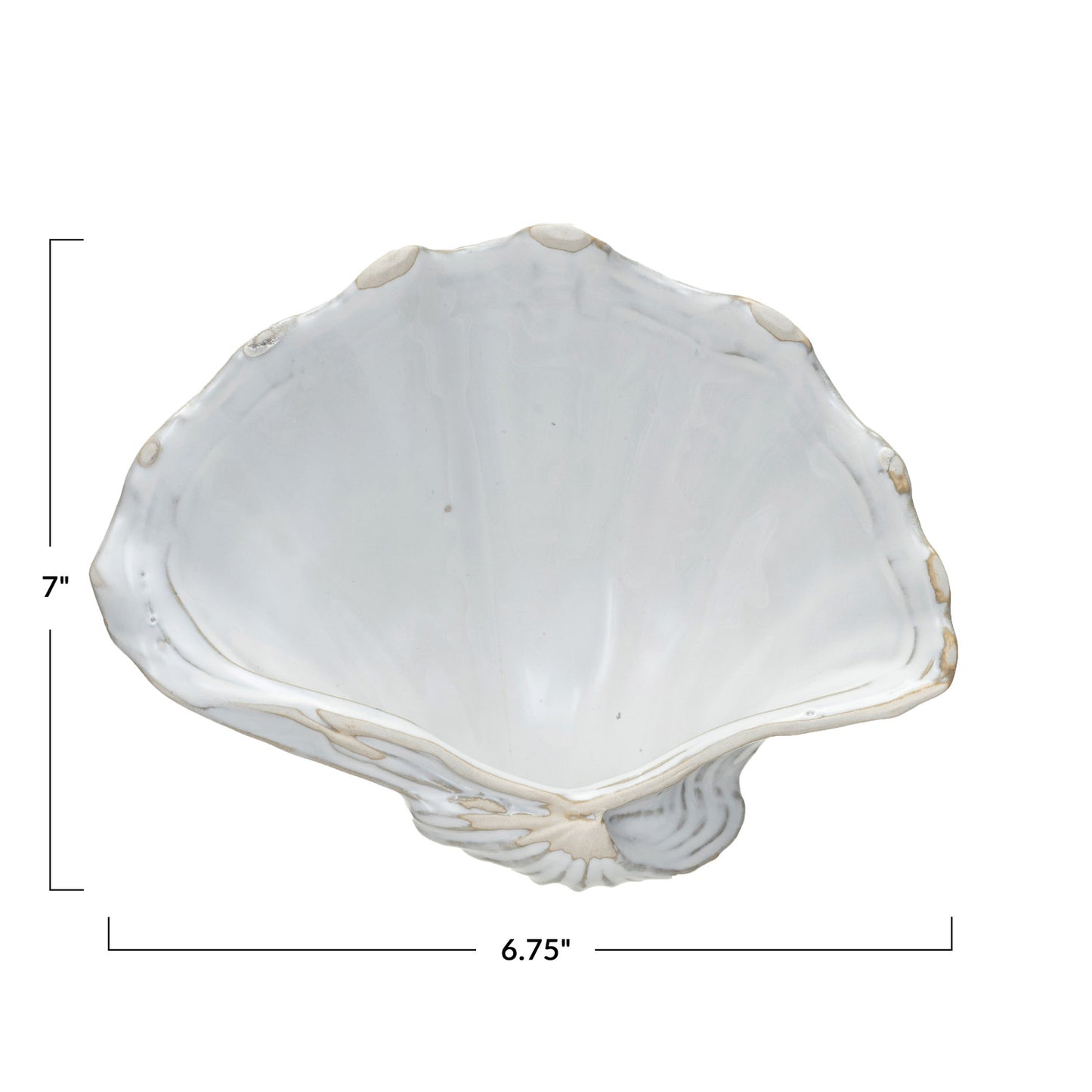 Fan Shaped Shell Dish