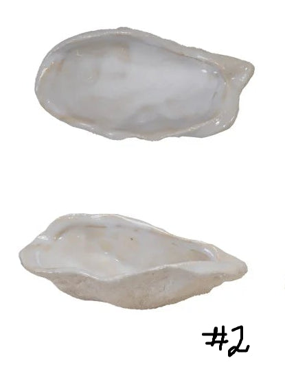 Oyster Shell Shaped Bowls