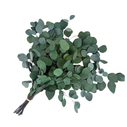 Silver Dollar Eucalyptus Bouquet