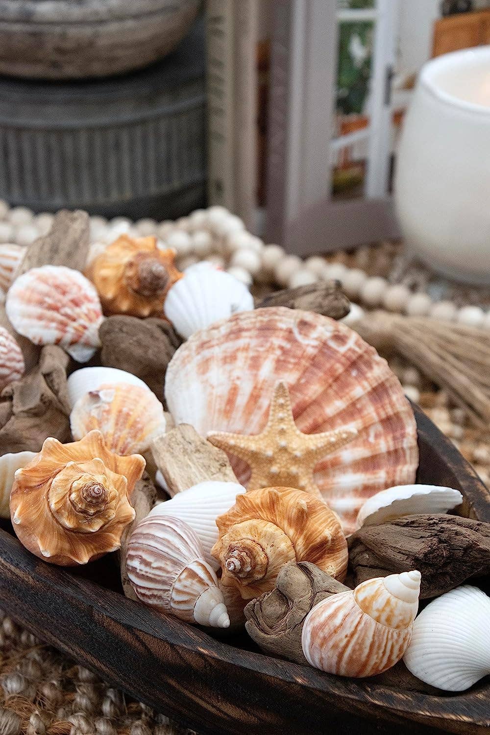 Starfish & Seashells Potpourri