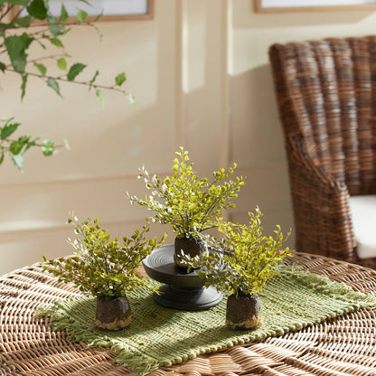 Maidenhair Fern Drop-Ins