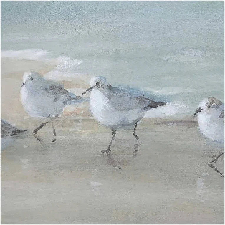 Shorebirds on the Sand Framed Print