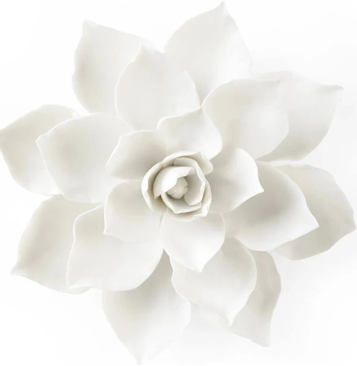 Magnolia Porcelian Blossom