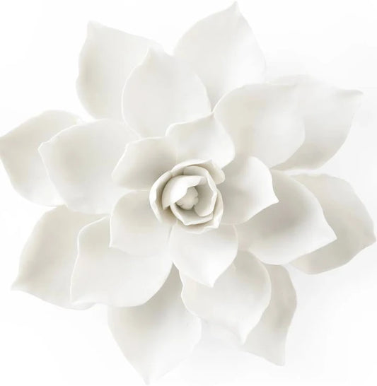 Magnolia Porcelian Blossom